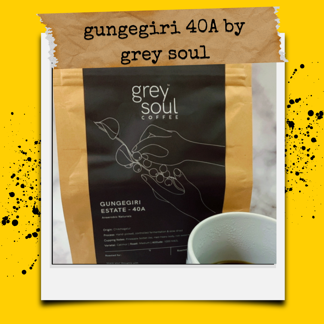 FFED57E3-81CB-44C5-B2E3-21F276BE604D